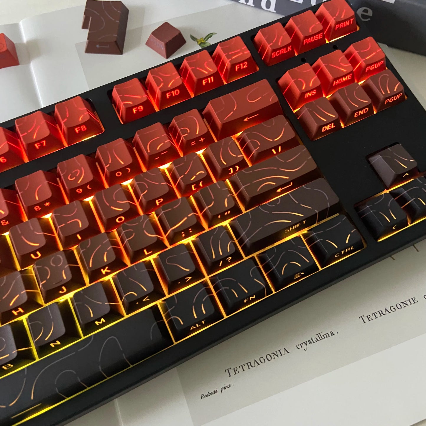 Aurora SideGlow Keycaps – Gradient RGB Shine-Through PBT